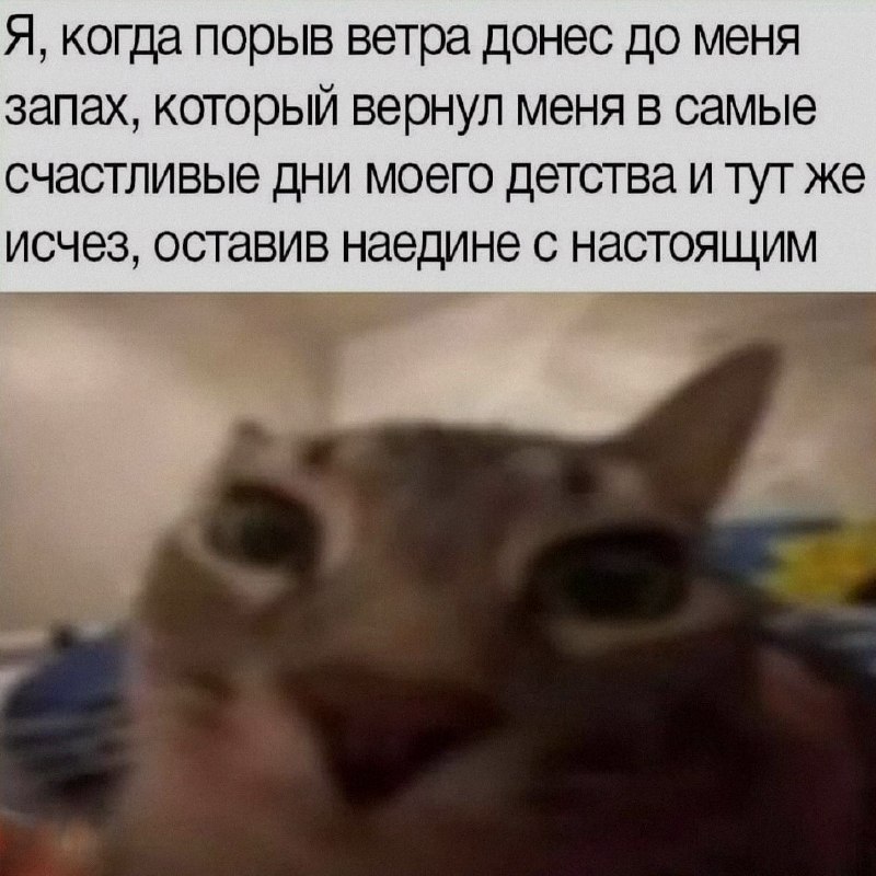 Ночная подборочка
Спать, режим