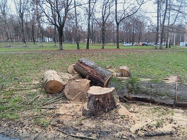 Ну кто же выпиливает по городу никому не мешающие двух?...