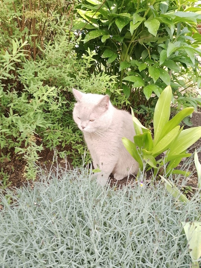 Здравствуйте! Крик о помощи! В посёлке Мурзинка потеря?...