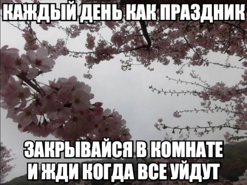 Утренняя подборочка
