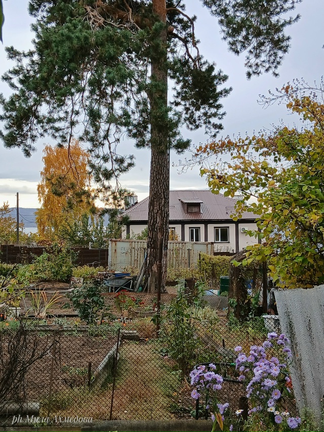 Красота в глазах смотрящего
Портпоселок 🍁🍂
Фотогра...