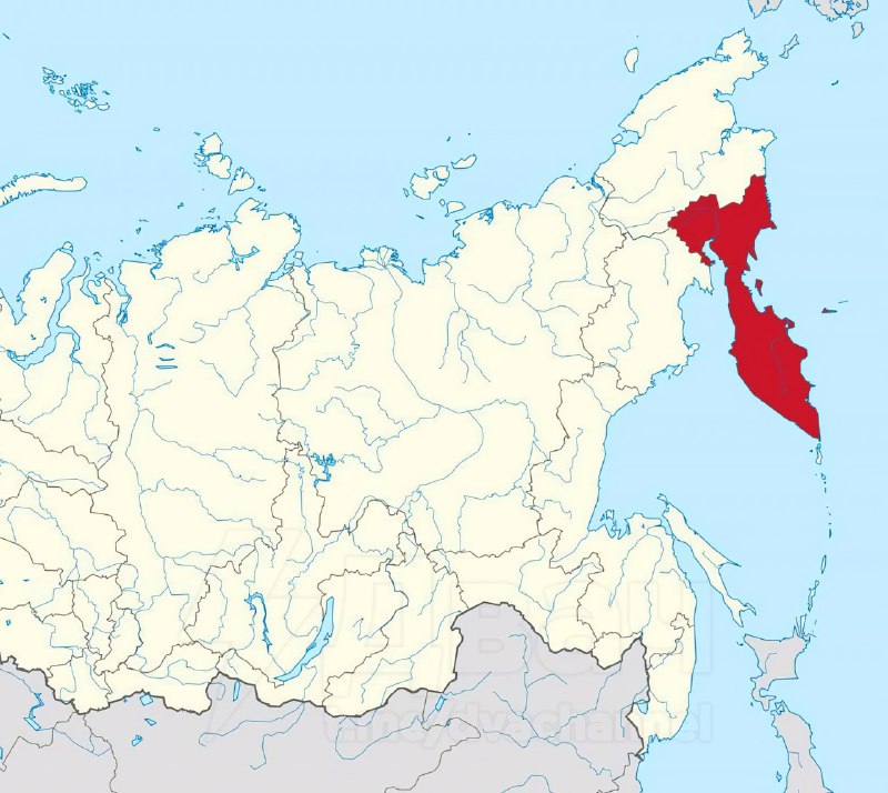 ‼️На Камчатке отключили мобильный интернет — по словам губернатора Владимира Солодова, это сделано д