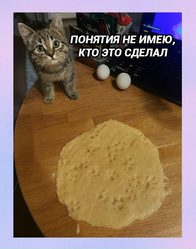 Никаких улик на месте не нашли