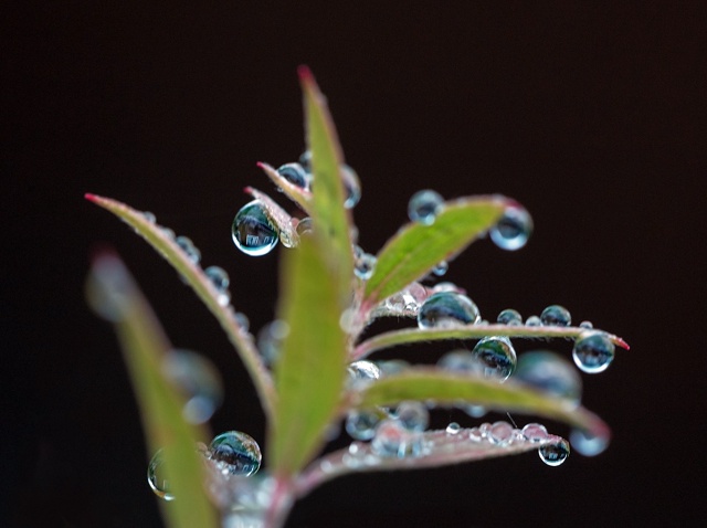 В эти дни стоит унылая, пасмурная погода, небо