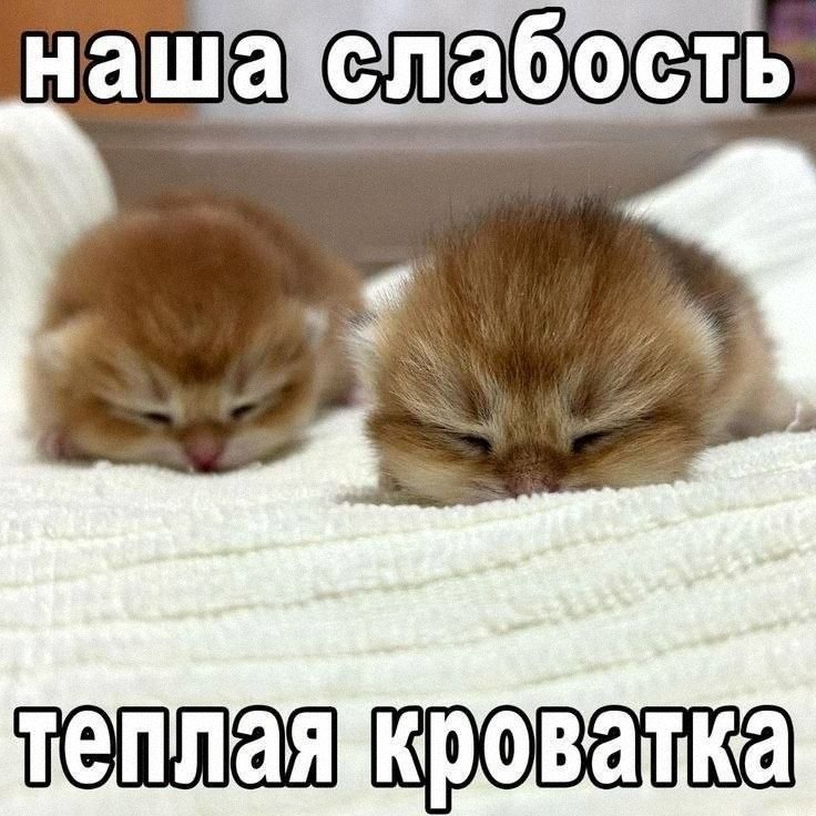 Утренняя подборочка