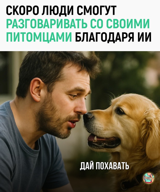 — Через год:
ИИ: «Он говорит, что у него депрессия от ва?...