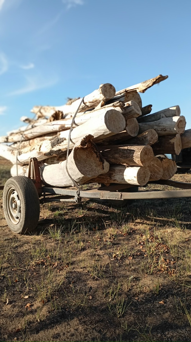 Продаются дрова Тополь-(2000т.-1 куб.)
Карагач-(2500т.-1 куб.)
...