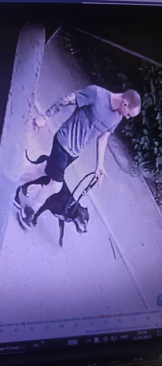 Вчера в 18.47 собака типо стаф чуть не загрызла, выхватив ...