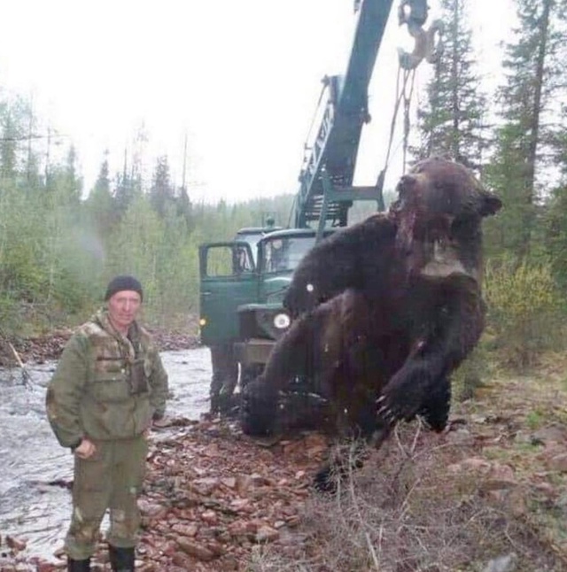Охотникам пришлось убить этого медведя еще два года на...