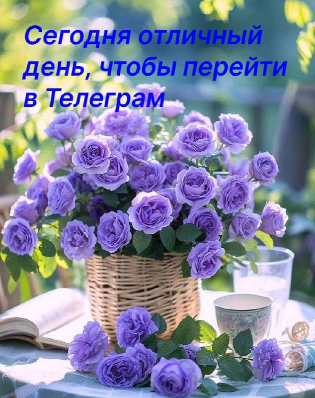 🙅‍♂️WhatsApp пора готовиться к уходу с российского рынка, — Горелкин Мессенджер, принадлежащий экст