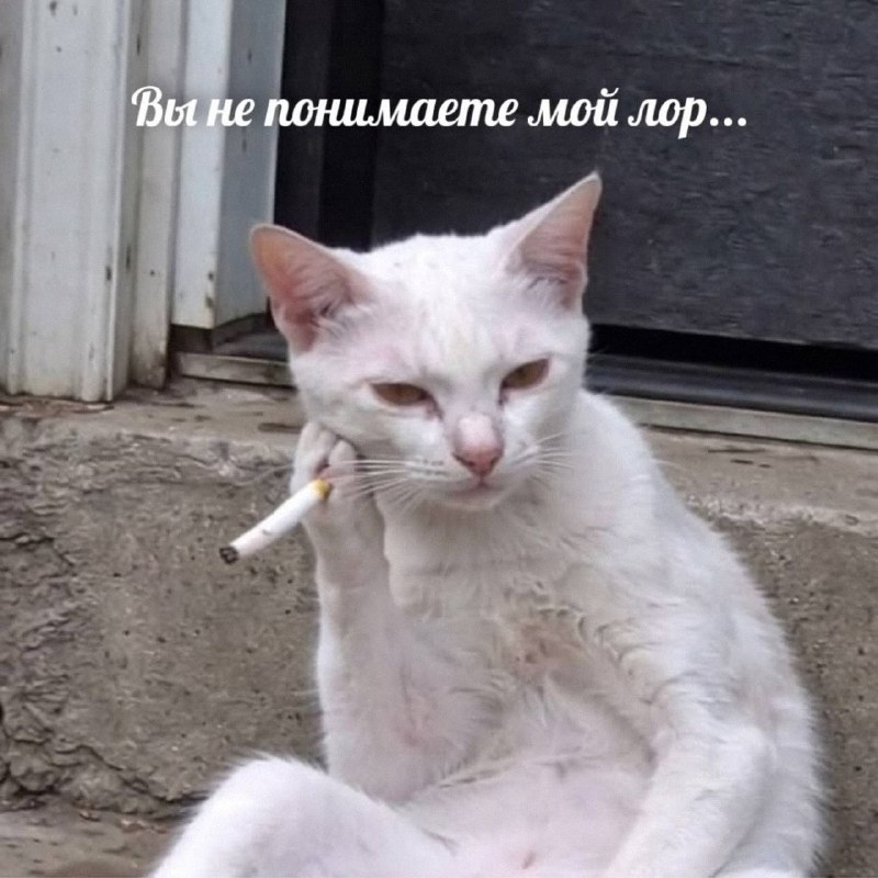 Утренняя подборочка
