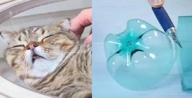 Только я вижу сходство между этими фото)))