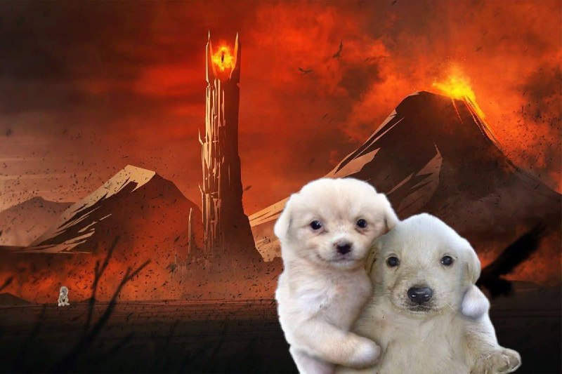 я и мой чат gpt перед предстоящей сессией :