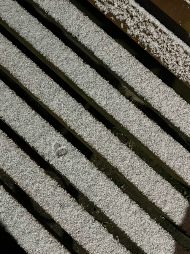 С первым снегом! ❄
#Я_тебя_видел@podslushano_velsk