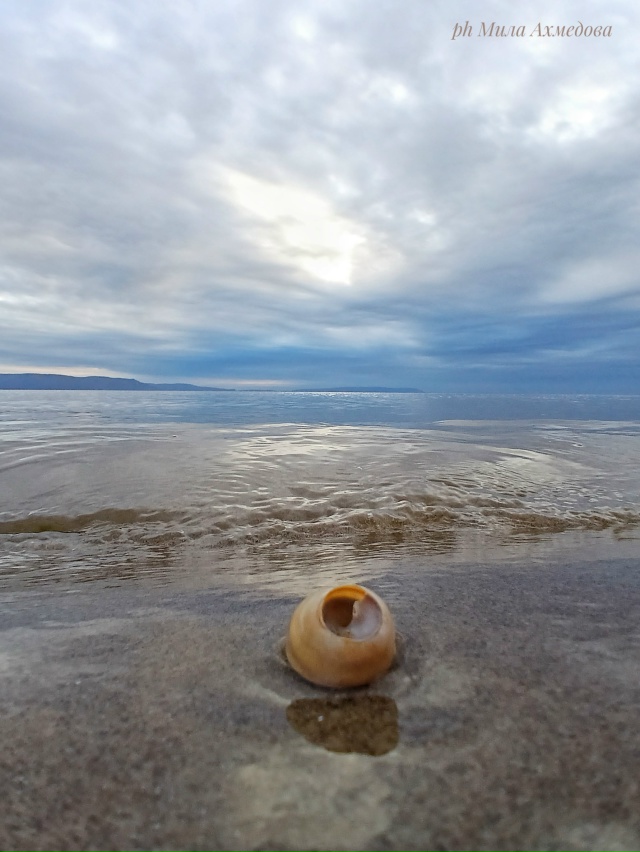 Жигулевское море.🌊🍂