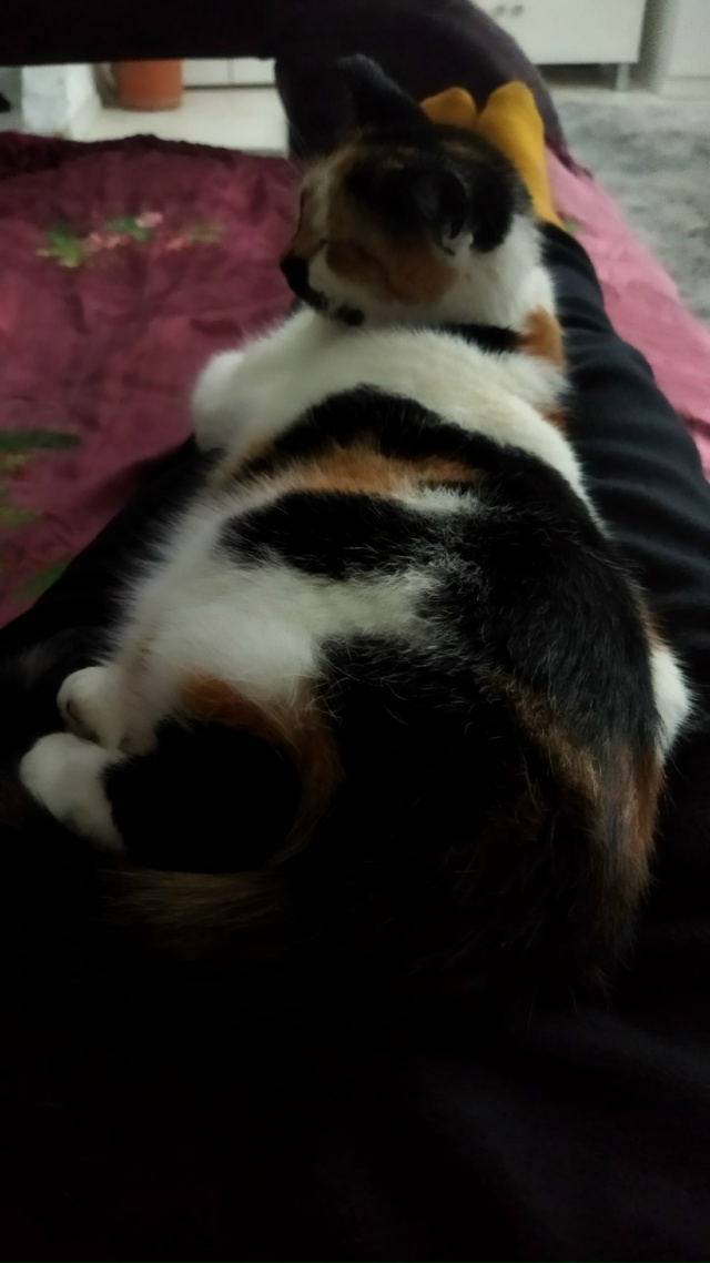 Сладкий комочек отдыхает. 😊😊😊❤❤❤