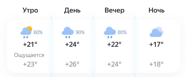 Опять дождик🥹