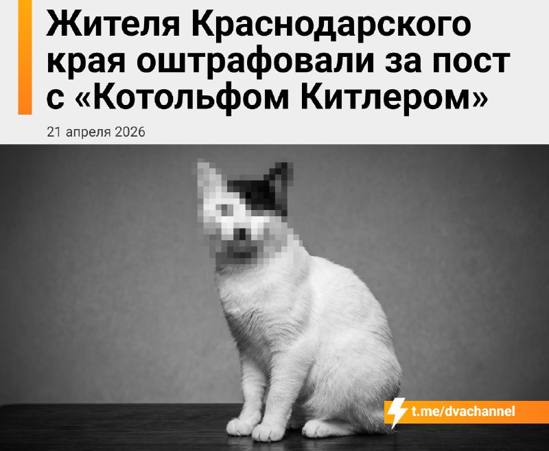 В Краснодарском крае мужику впаяли штраф в 1000 рублей за пикчу с котом в телеге
Суд на полном серь