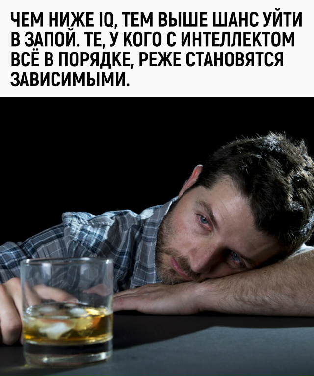 Учёные доказали: чем ниже IQ, тем выше шанс стать алкого?...