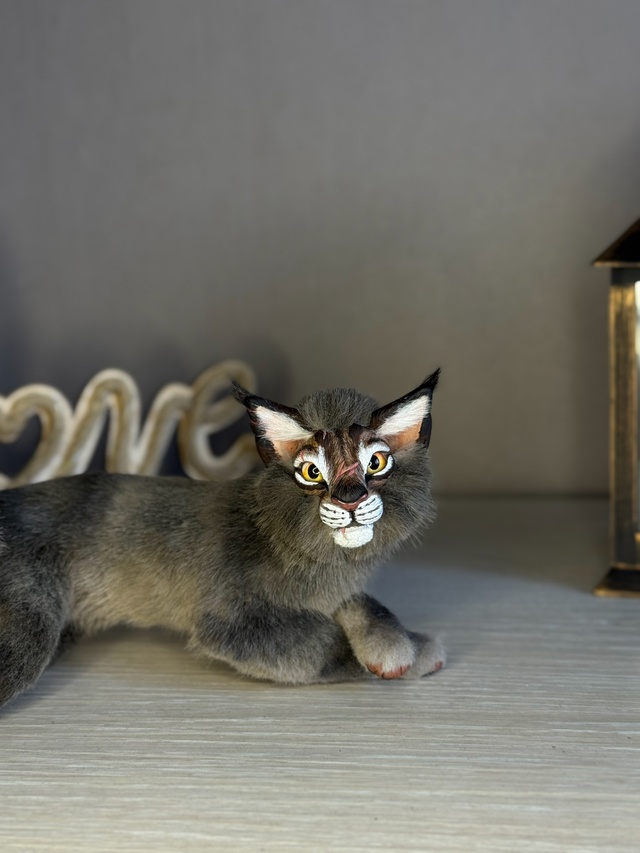 Звездоцап😼
Кукла в смешанной технике из полимерной г?...