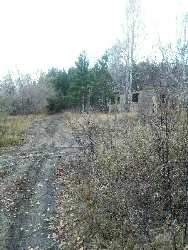 Немного позитива в ленту,.На снимках-осенняя прогулка ?...