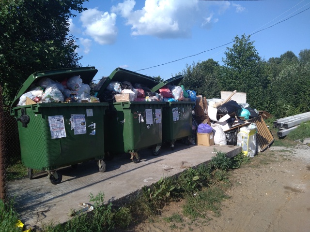 Фото 1. Деревня Волоцкая 23 июля 2025. Чистый след умывает ?...