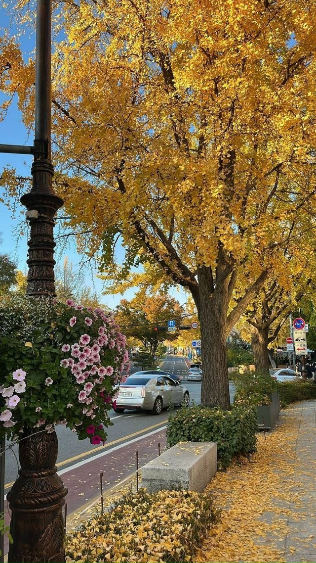 Корейские обои 🍂