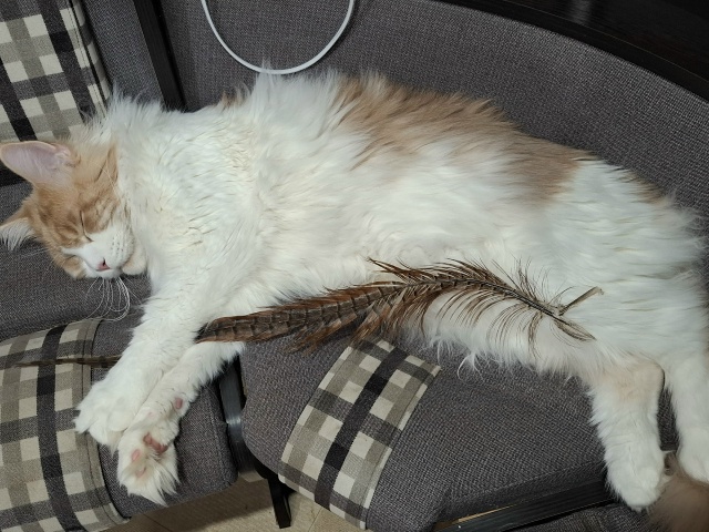 Барины отдыхают)))🤣