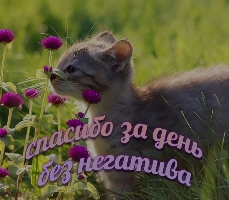 Ночная подборочка
Выходные, не спим