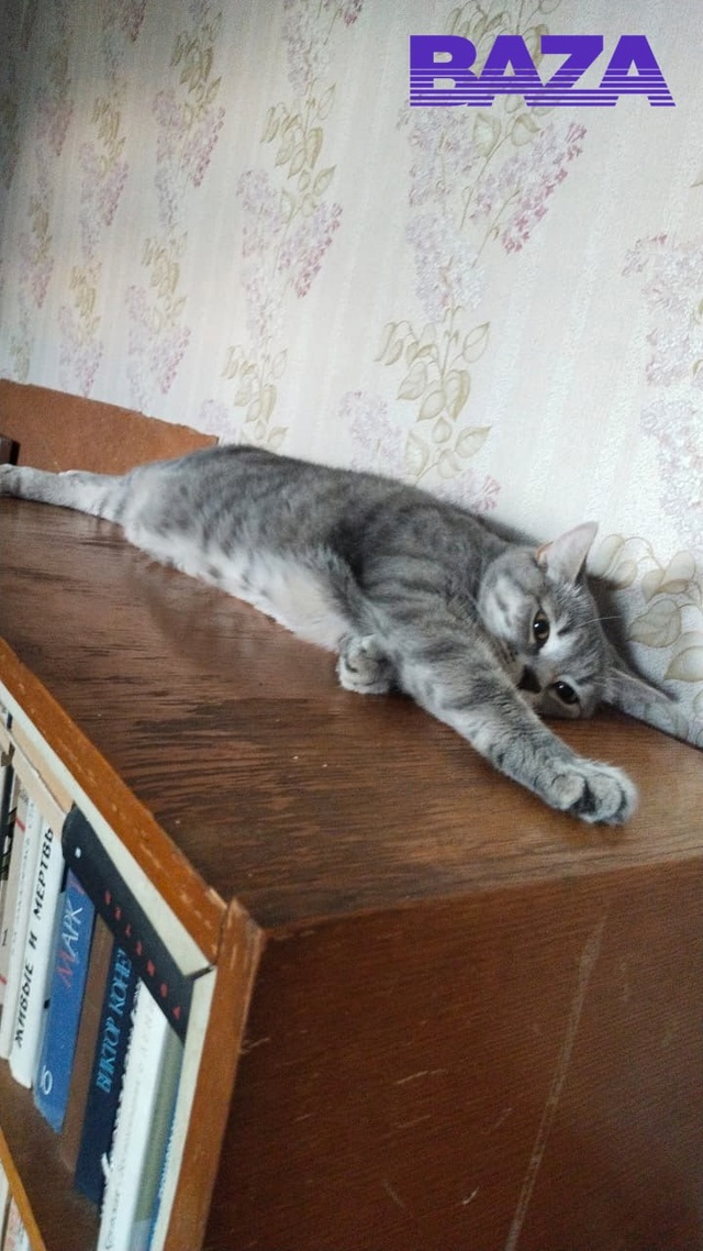 💔 😭Во время атаки дронов в Воронеже погиб мужчина, пы...
