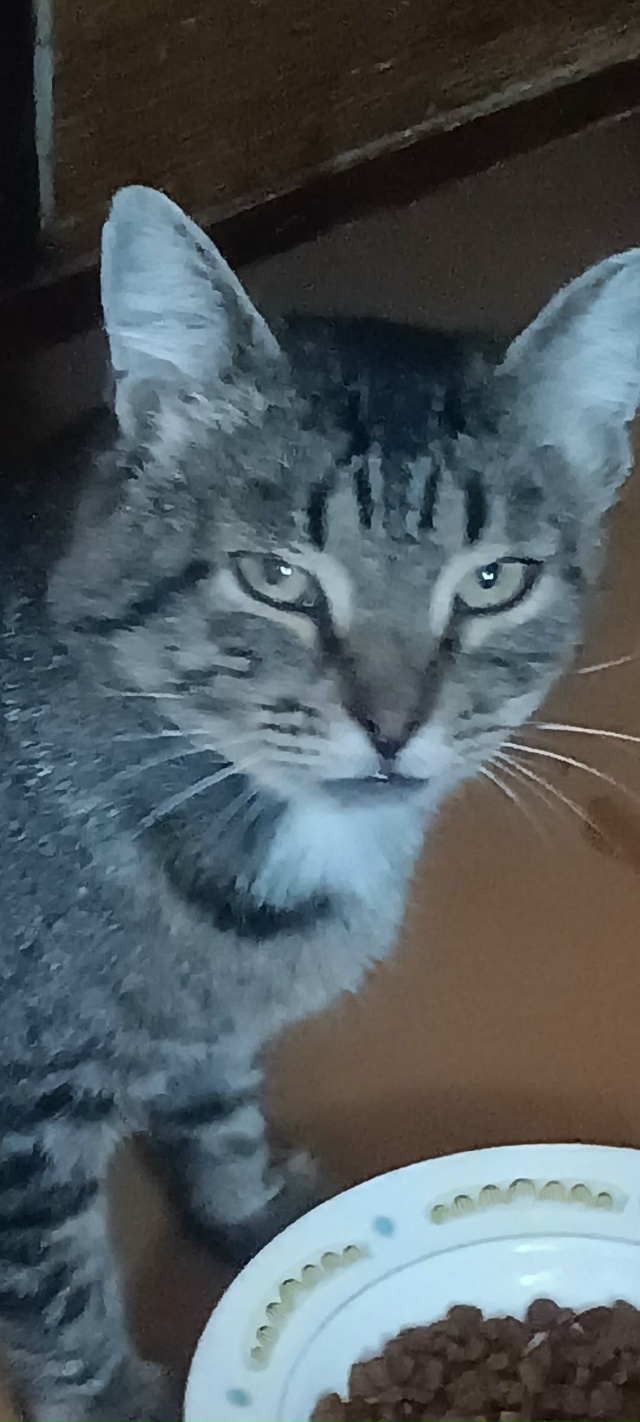 Пост на удачу!
Кто-то, наверное, помнит пост про кота со...