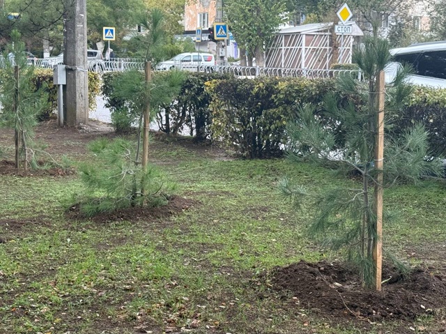 ?Продолжается осенний этап озеленения города.
На дан...