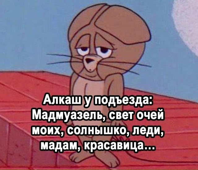 Невероятно, но факт😅