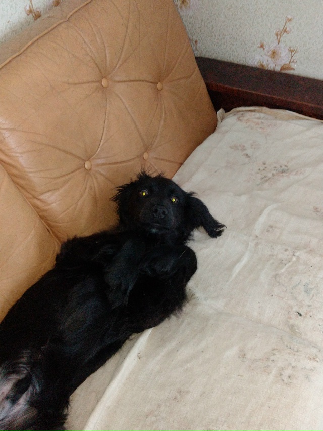 Здравствуйте уважаемые жители города Остров! Продолжа...