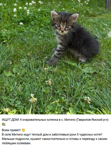 Пост добра. Распространите, пожалуйста.