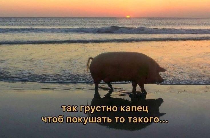я каждый вечер