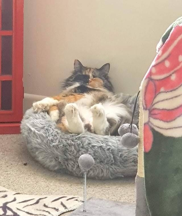 Доброе утро.