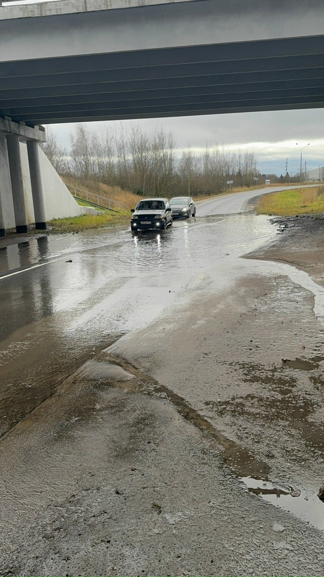 Года идут, контора пишет 🤔
Народ кричит, а власть не сл...