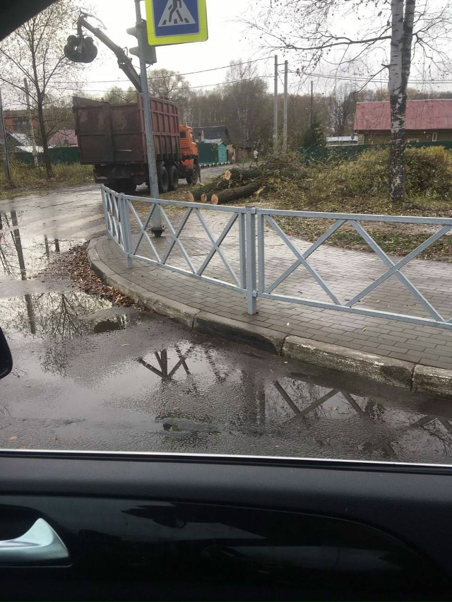 Подписчики недовольны спилом деревьев на Фрунзе: