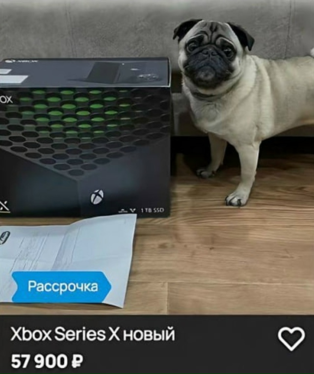 Парень из Кемерово выставляет на продажу технику и наш...