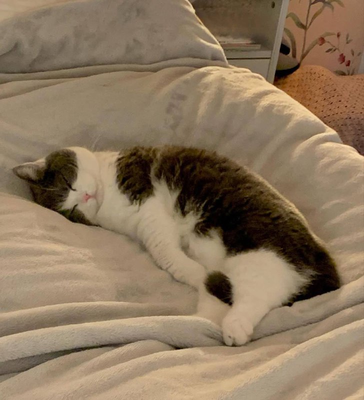 Спотб изо всех сил :3