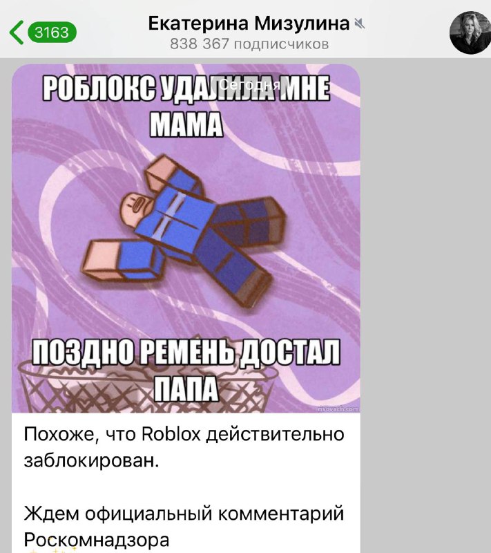 🛑 Roblox перестал грузиться в России Ни сайт, ни приложение больше не открываются без сторонних сер