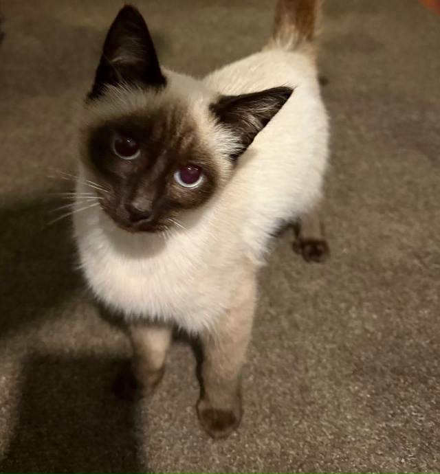 На крыльце магазина 