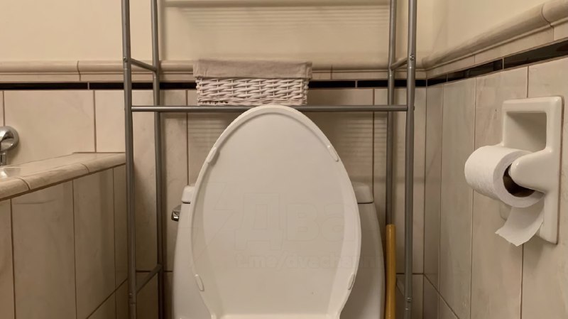 В Сети нашли лучшие фоны для созвонов — с ними митинг в Zoom пройдёт идеально
Забирайте скорее