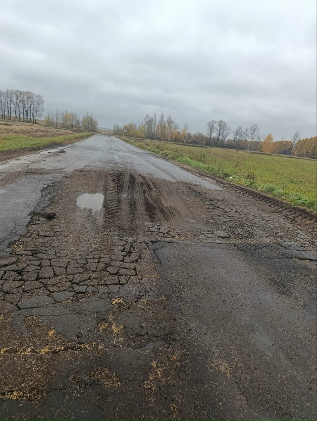 это в забелой дорога на Печенкино дальше поворота на М?...