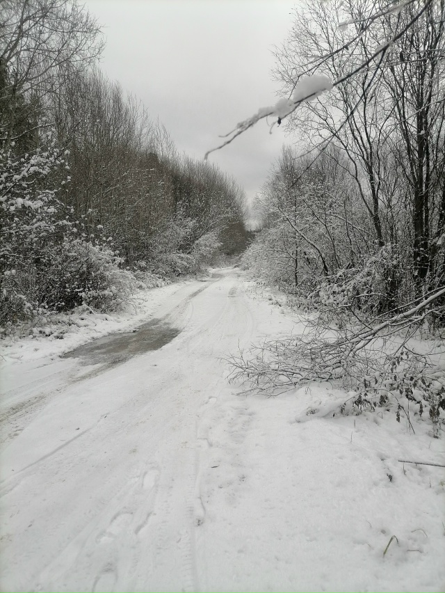 Как дни календаря
Неумолимо дни летят
Года мои земные ...