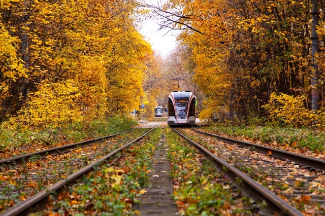 Золотая осень прощается с Нами, следующая остановка зи...