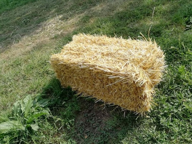 Где купить в Родниках солому в кипах маленьких?