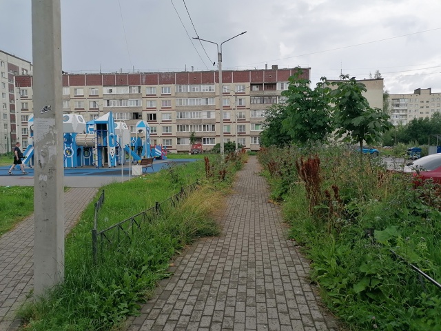 Детская площадка, красивая аллея из каштанов, но всю ка...