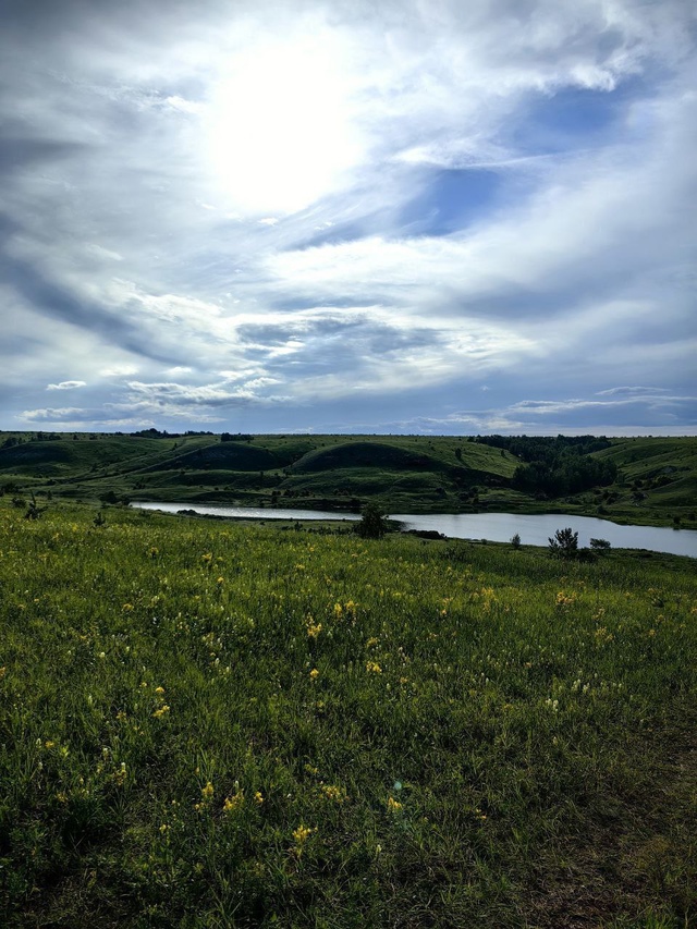 Река Елшанка 🌿
📸 Ловец историй